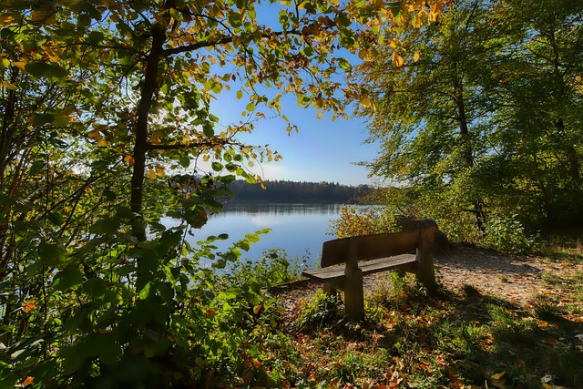 默森：斯凯利在防守时走神了，不过卡尔的进球确实精彩绝伦